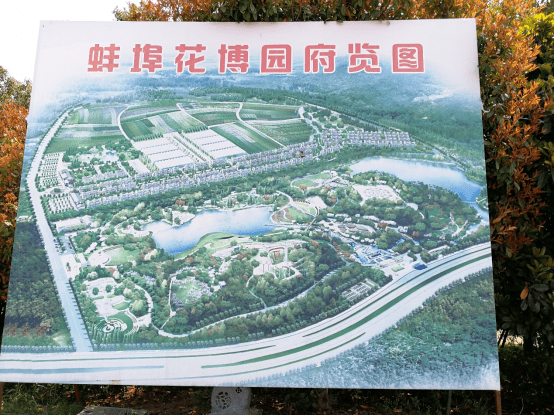 安徽游——蚌埠花博园