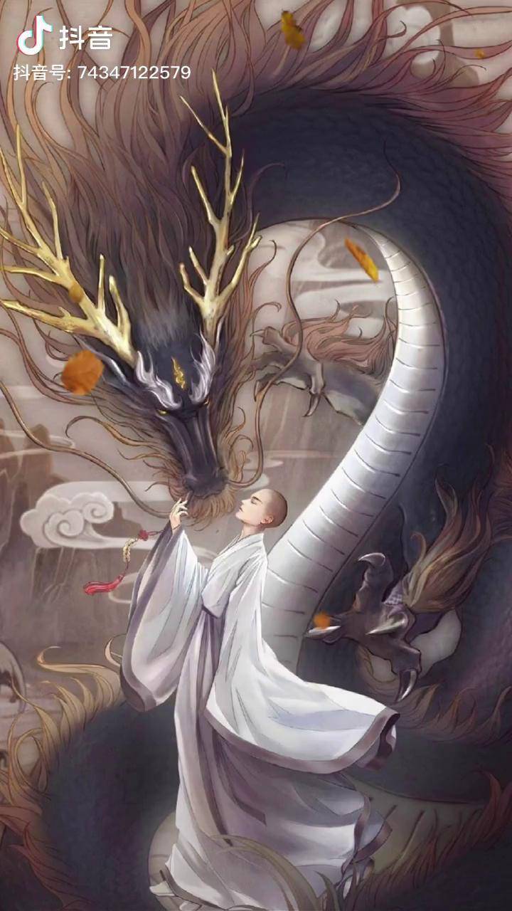 龙现天下吉龙现众生祥换这个祥龙壁纸试试手机壁纸龙每日壁纸