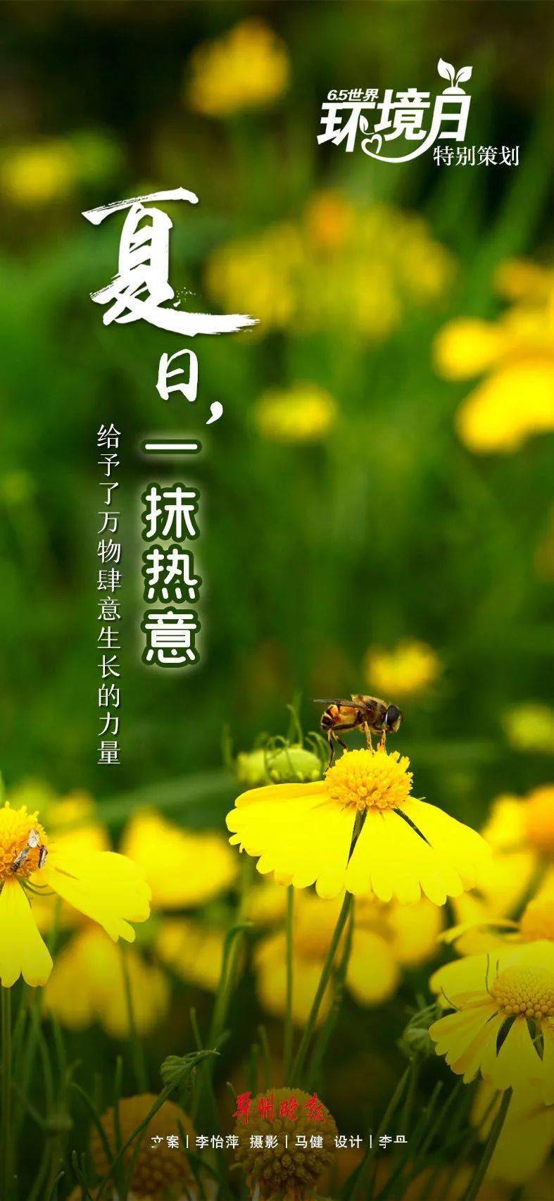 繁茂蓬勃随风轻曳希望这个夏天浪漫又温柔我们都能与喜欢撞个满怀绿叶