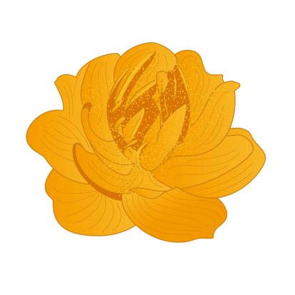 夏日香山|金莲映日意相连_金莲花_背景_乾隆