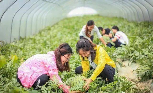 我们的节日·端午|书香过节、文化过节、采摘过节......端午节永川这些宝藏地点邀你打卡！