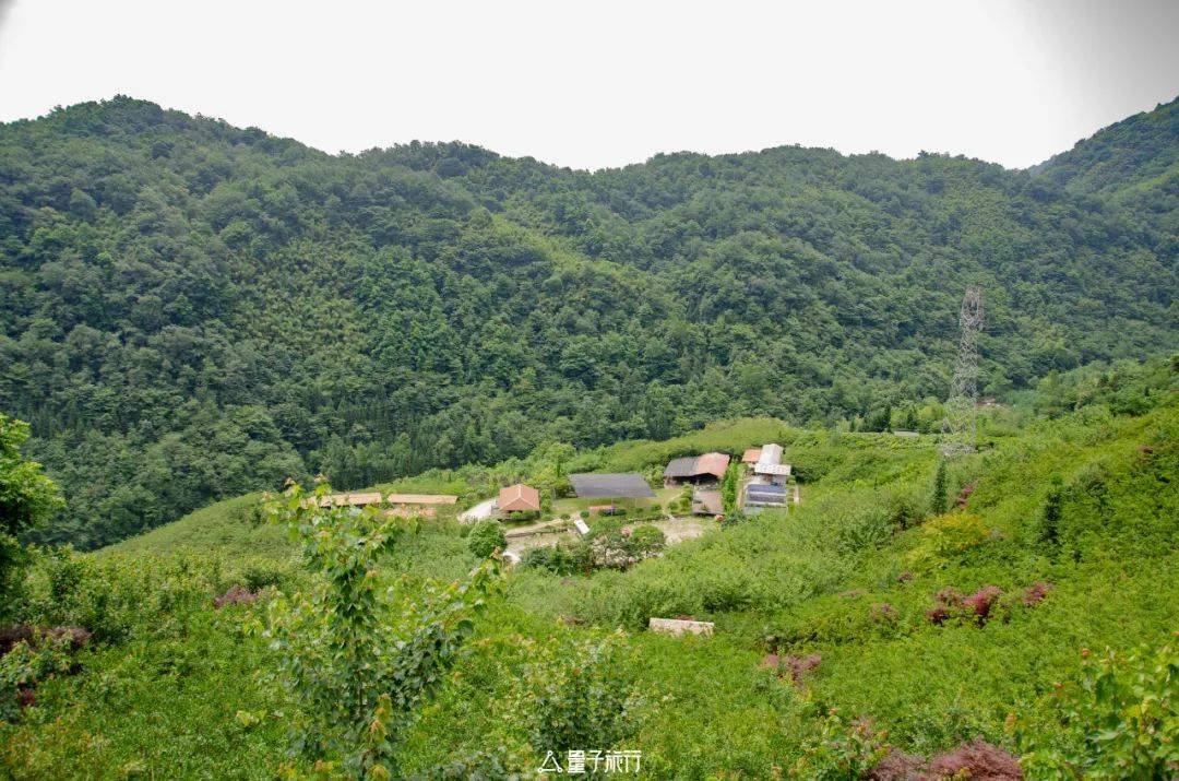我们此次的主题是养生局,选择柒月麓山,向往着这里良好的康养环境