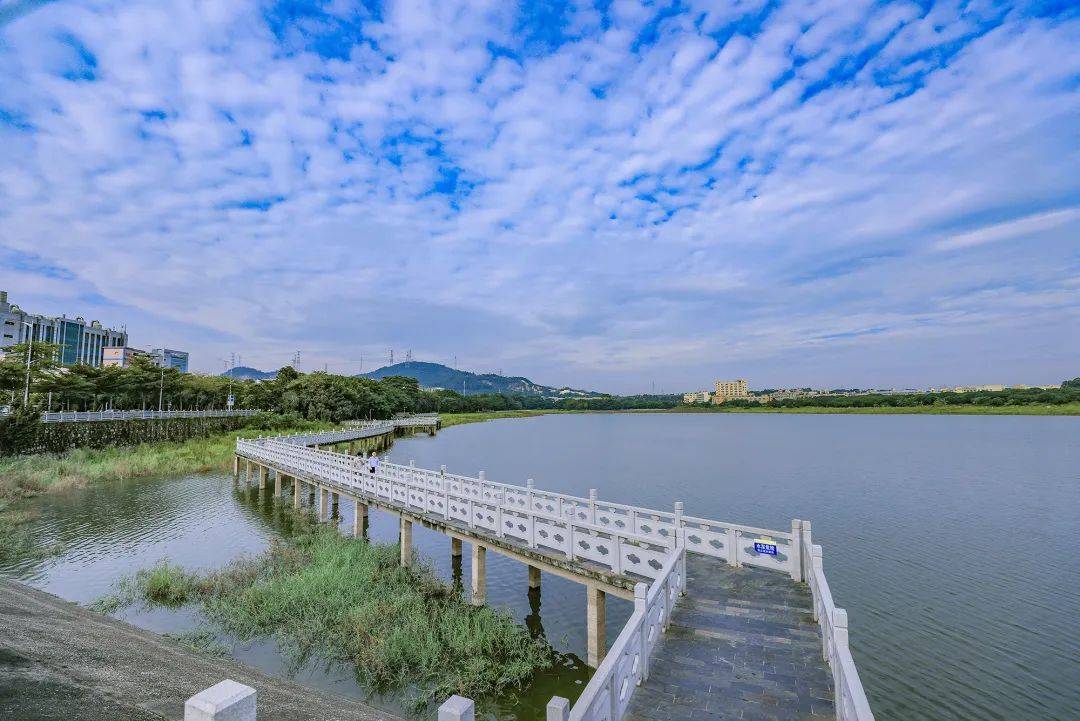 畅游光明"水八景",打卡赢5000元话费好礼!_楼村_深圳市_图片
