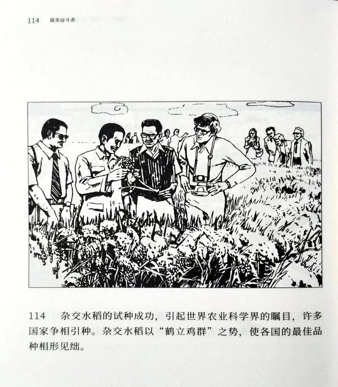 一天一本小人书丨《袁隆平:世界杂交水稻之父》