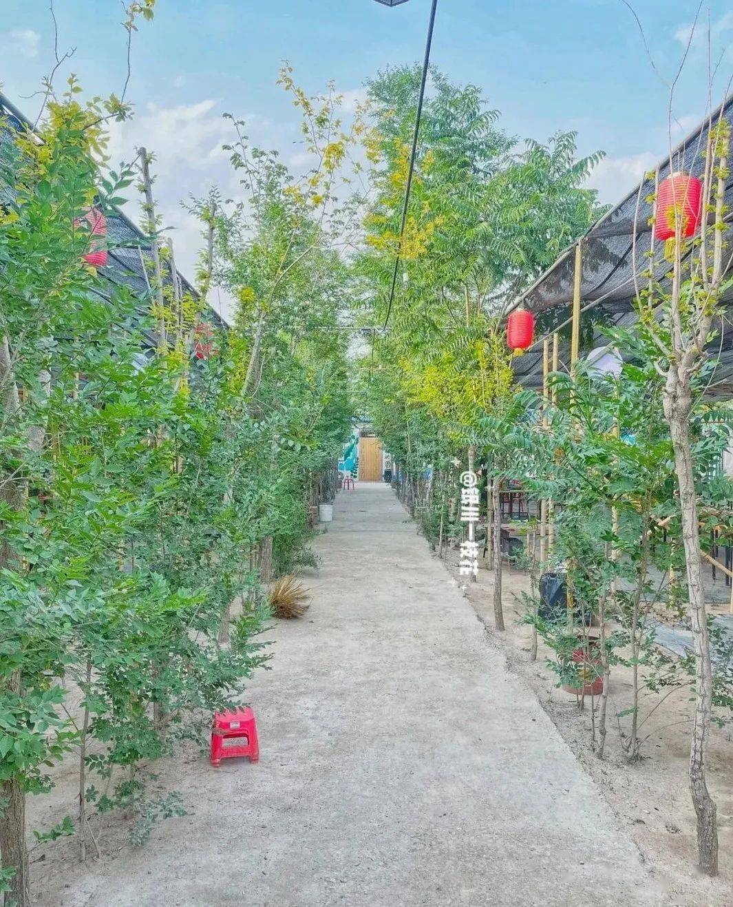 爱上银川银川周边平价又好玩的农家乐吃的天然耍的舒服