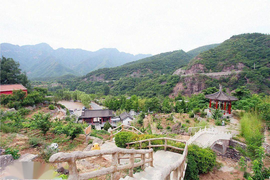 采摘黄金期门头沟樱桃沟的樱桃熟啦边吃边游玩个大爆浆回味无穷