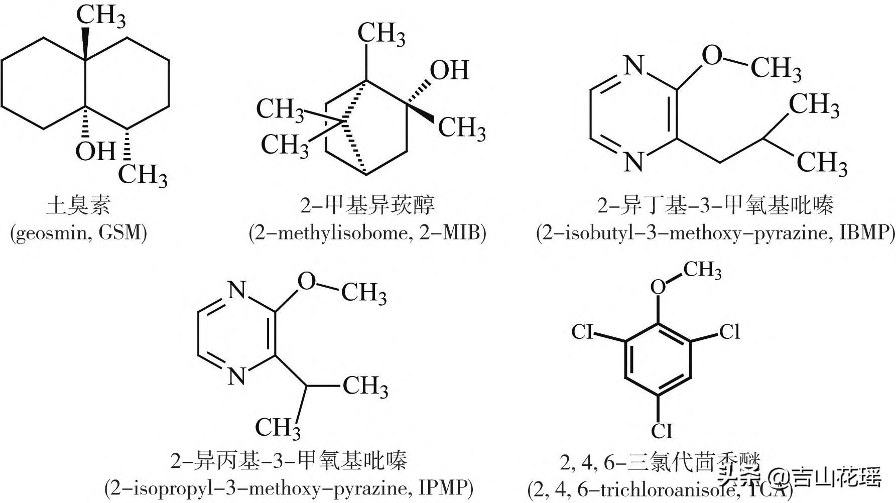 正丁基异丁基图片