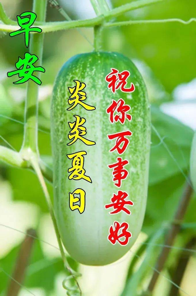 夏天多喝水天热问候图片带字温馨_祝福_生活_友情