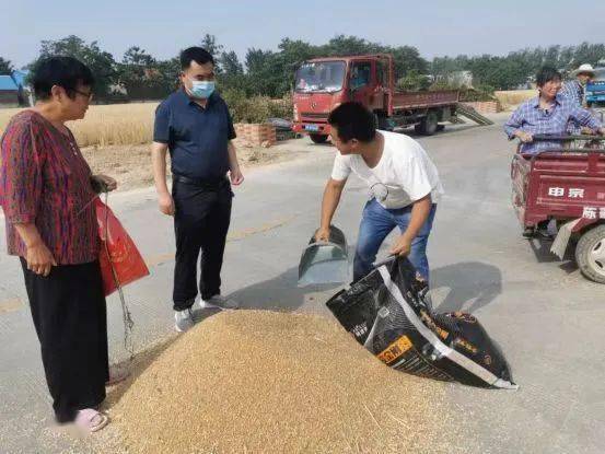 许昌市建安区陈曹乡三夏抢收举措有力确保小麦颗粒归仓