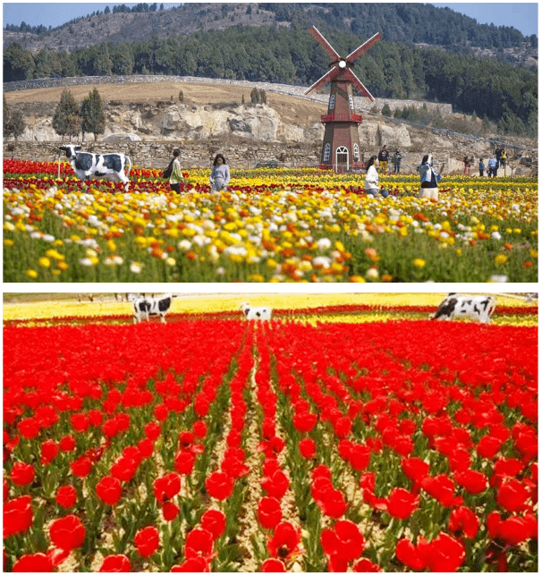 活动招募 6月9日 平阴芳蕾玫瑰花乡 玫瑰湖湿地公园摄影采风一日游 摄影采风活动火热招募中 参与者 明湖 个人 活动招募 6月9日 平阴芳蕾玫瑰花乡 玫瑰湖湿地公园摄影采风一日游 摄影采风活动火热招募中 参与者 明湖 个人