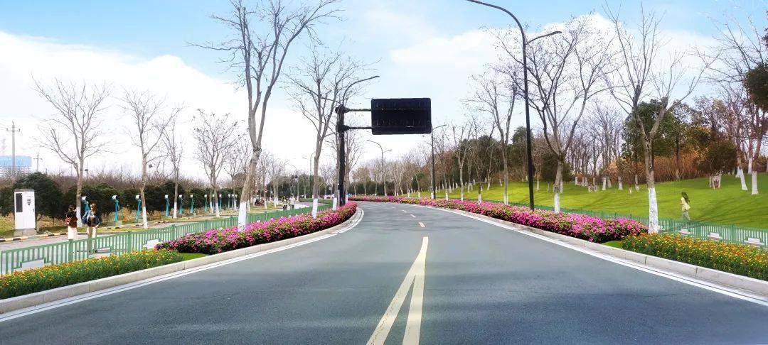 潮城这一抹绿色,爱了!_海宁_绿地_改造