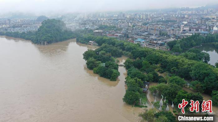 桂林城徽的“象鼻子”遭洪水淹