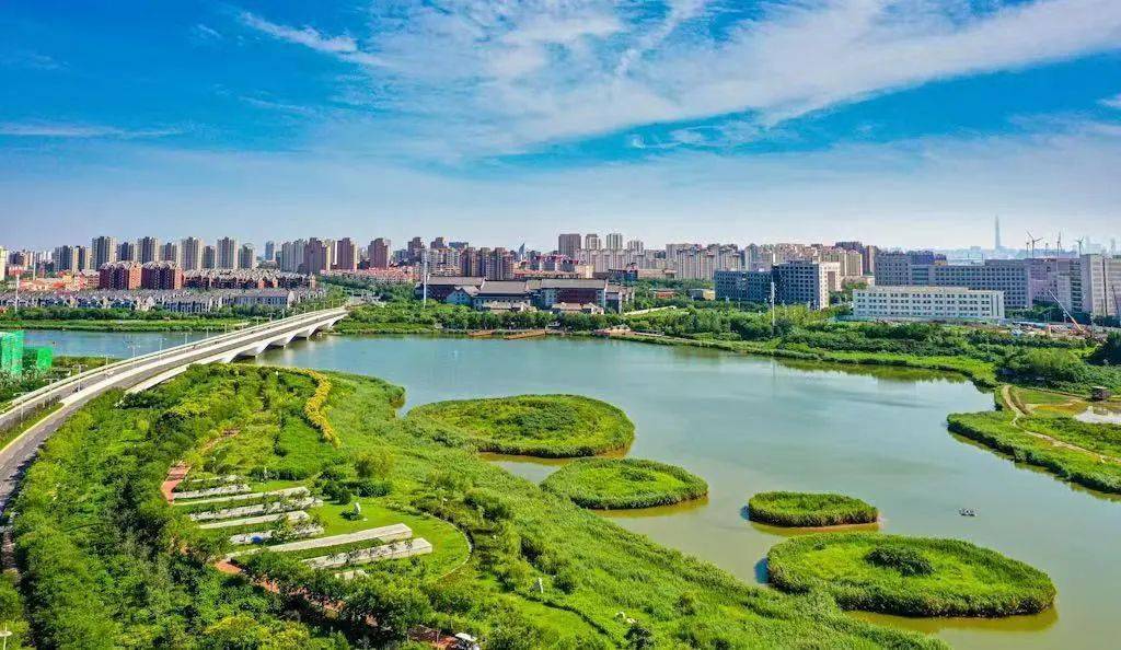 世界环境日 | 多图回顾!生态城举办环境日系列活动,共享绿色未来_天津