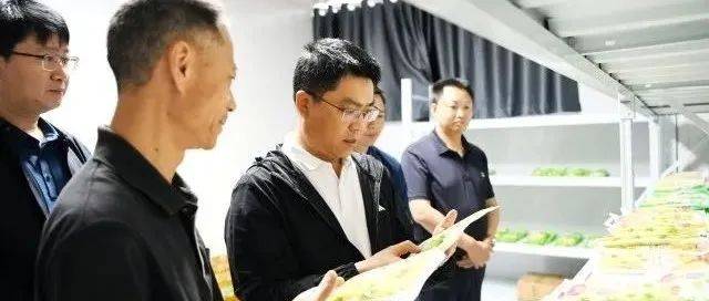 关于镇雄杉树、碗厂竹产业!县长杨绪春这杨说!_发展_调研_沙河村