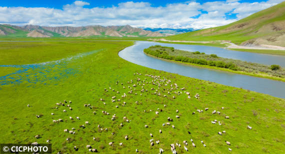 新疆和静：草原风光美如画