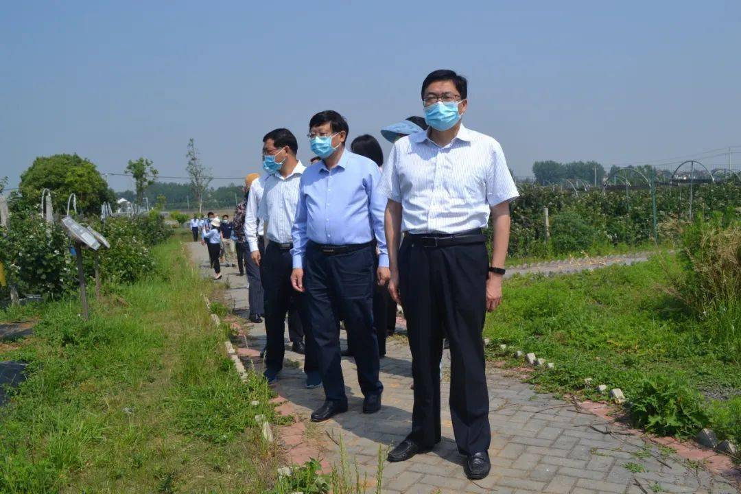 蒋爱祥带队调研我市农业产业发展情况
