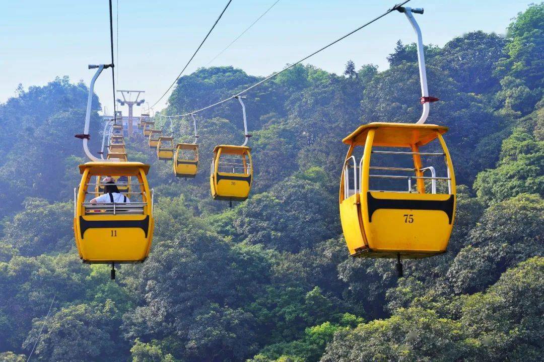 西樵山观光索道今起暂停运营升级改造更多入园方式