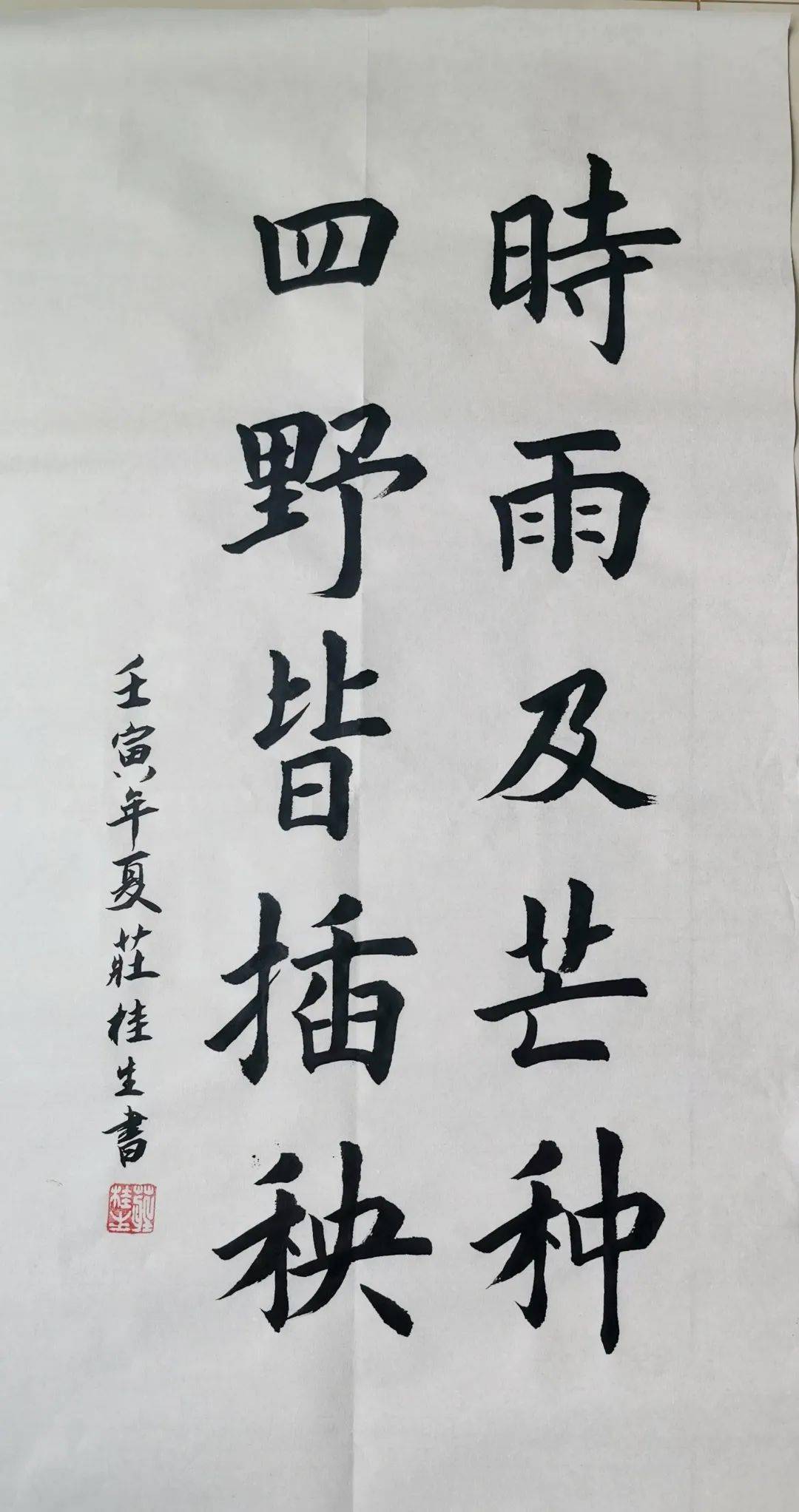 今日芒种忙有所获种有所得