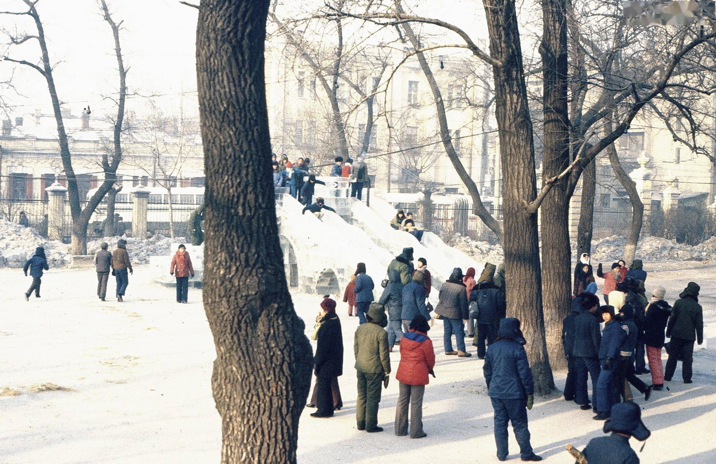 80年代的中国老照片36