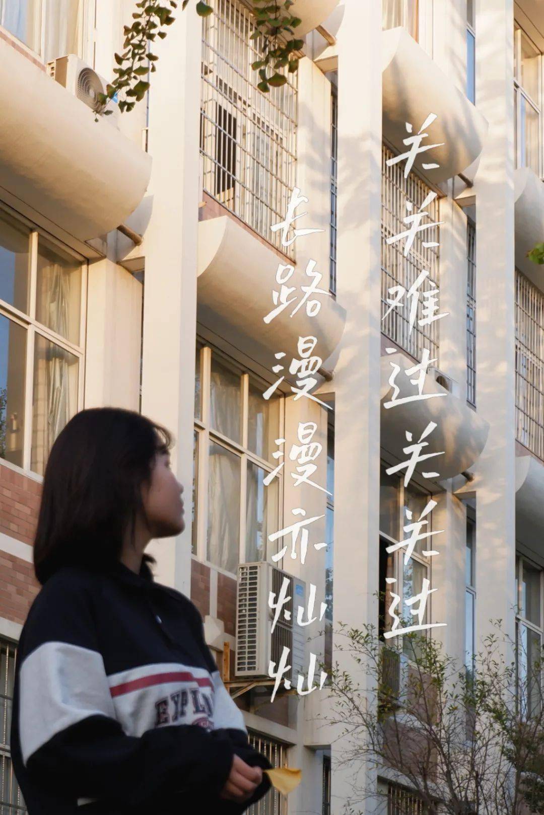 前程似锦都在向你一步步靠近那些你梦想实现的场景在斑驳树影下在片片