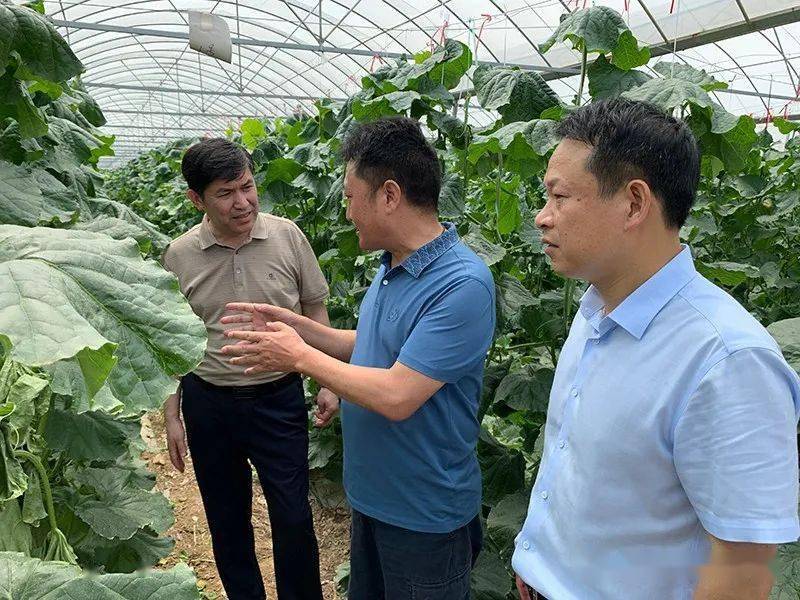 帕塔尔·胡加买提调研退捕渔民转产就业情况_余干县_瑞洪镇_企业