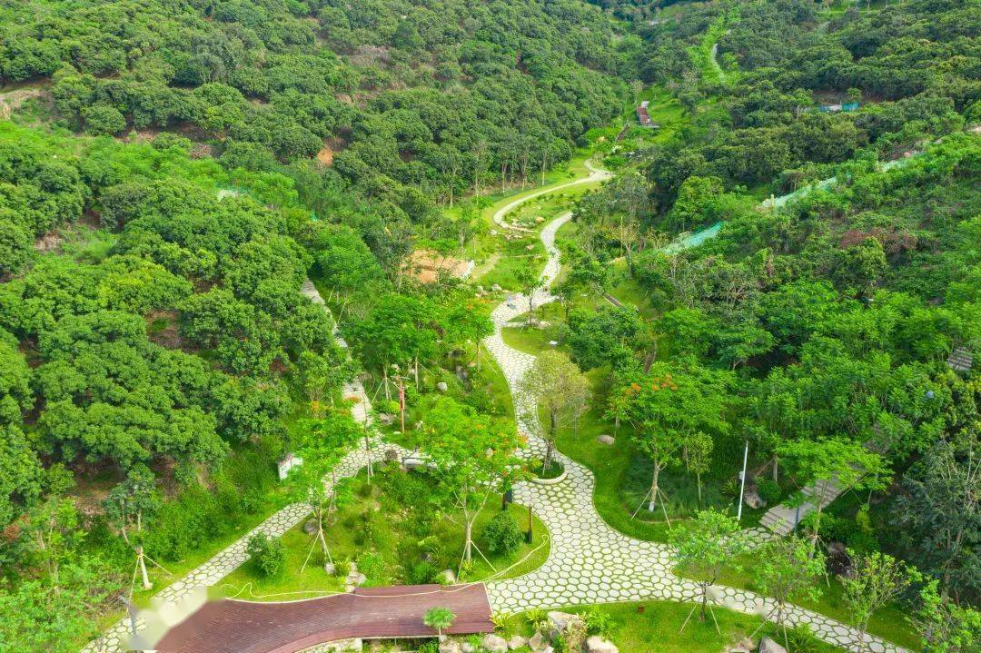 6月8日大山陂绿道