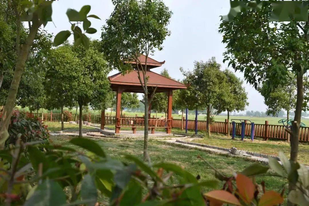 界之文明 首在实践 | 泉阳镇:新时代文明实践和人居环境整治双促进双