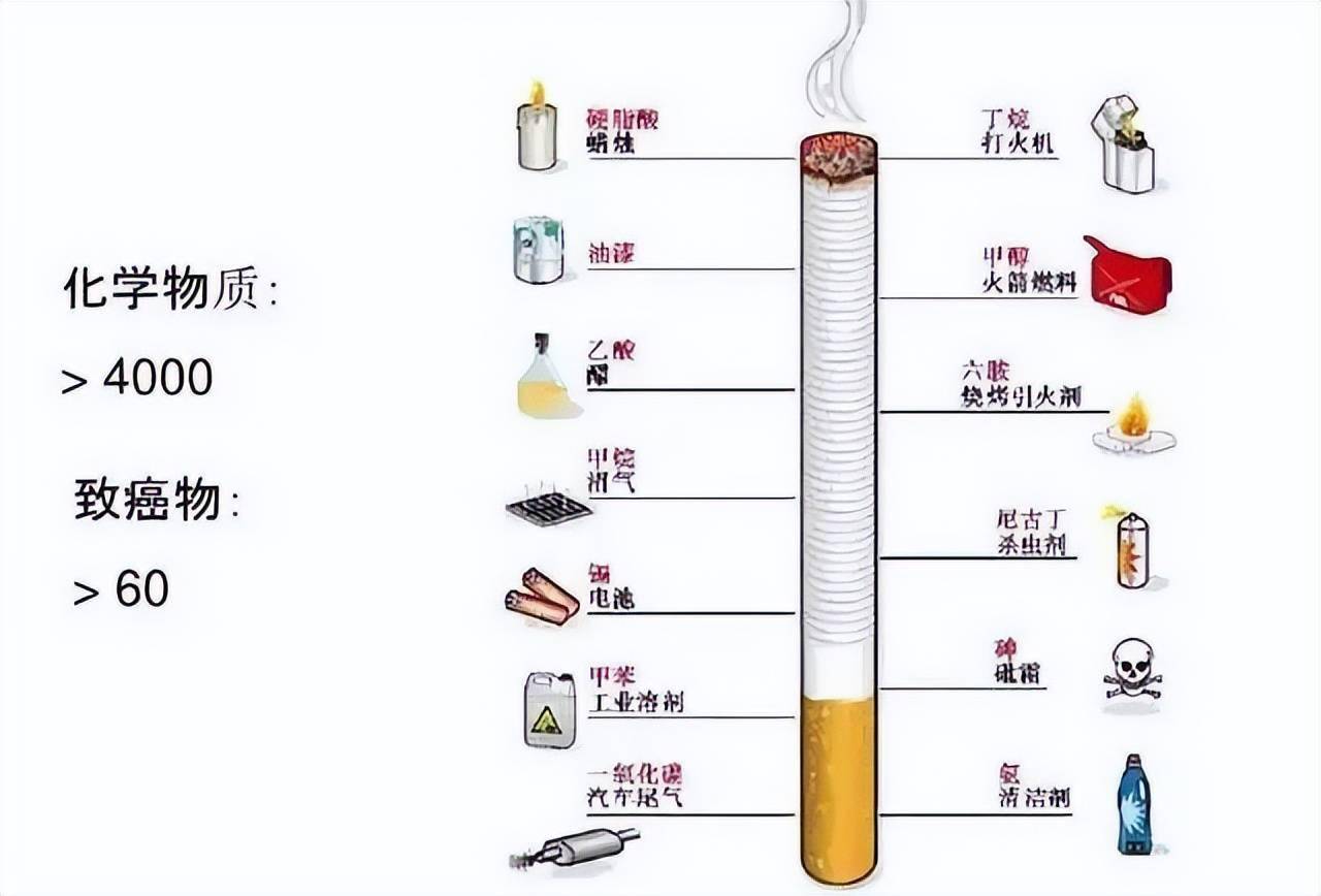 烟草的成分图片