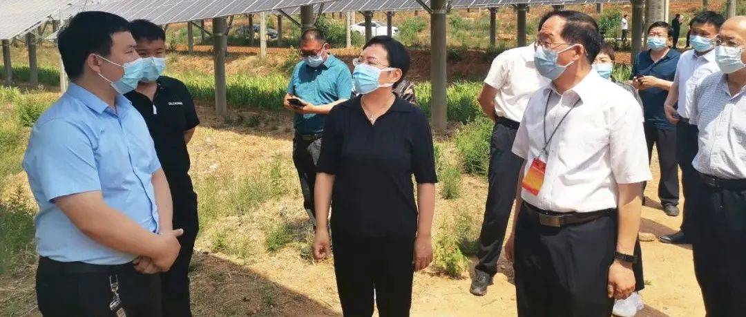 周立新副主任带队视察清理规范资源能源项目工作情况_视察组_部署_生态