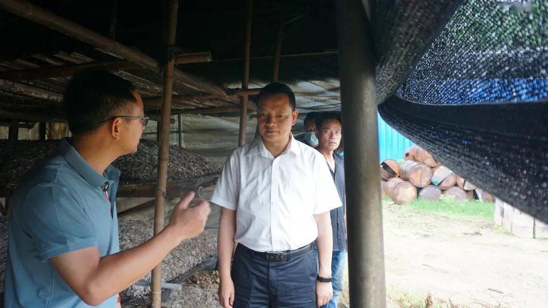 陈勇宏调研巩固拓展脱贫攻坚成果同乡村振兴有效衔接工