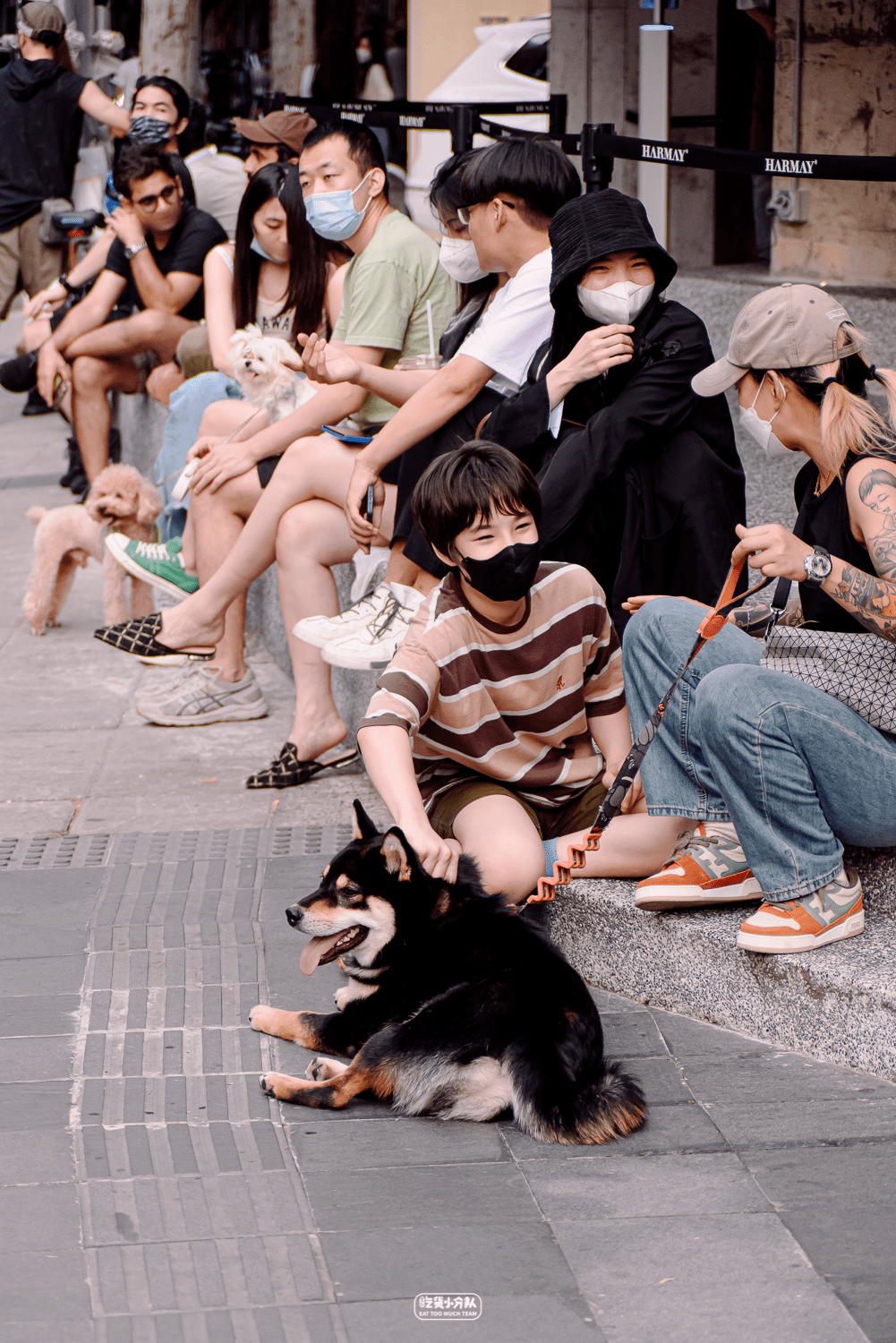 上海人在徐汇滨江报复性野餐