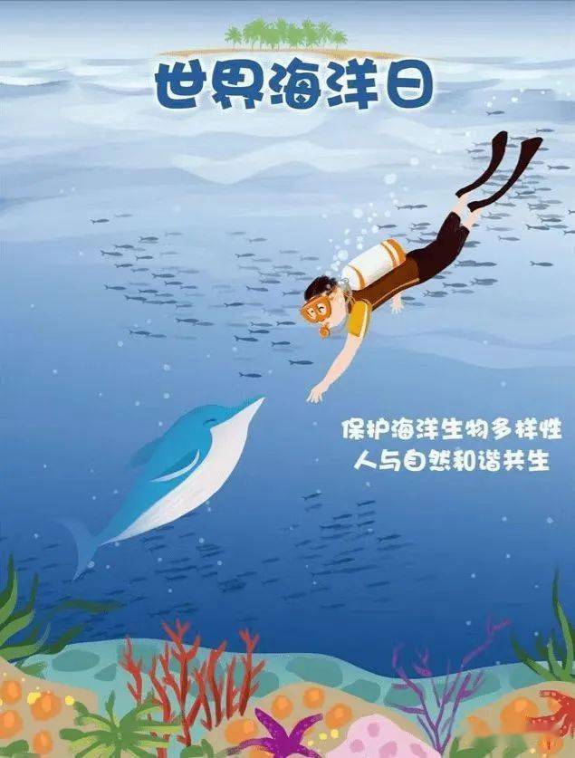 保护水下生物海报图片