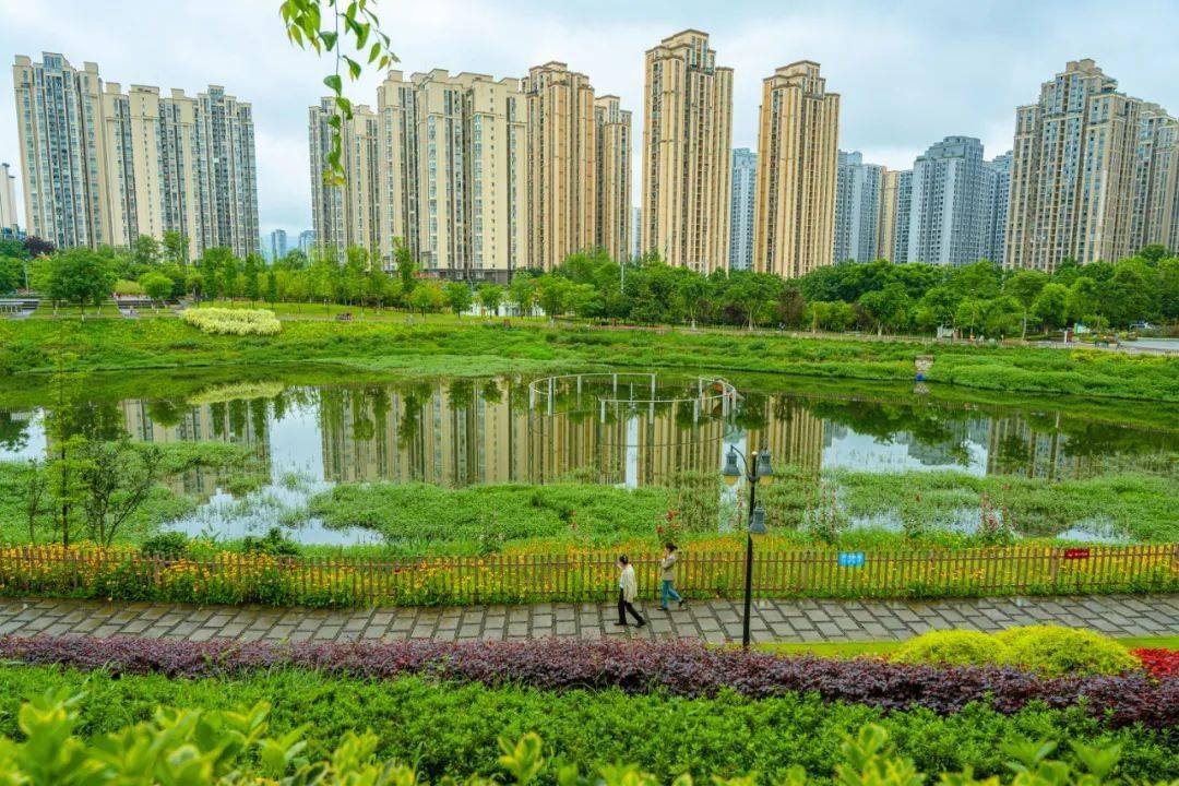 城中有园,园城相融,大渡口双山片区日新月异_群众_公园_服务