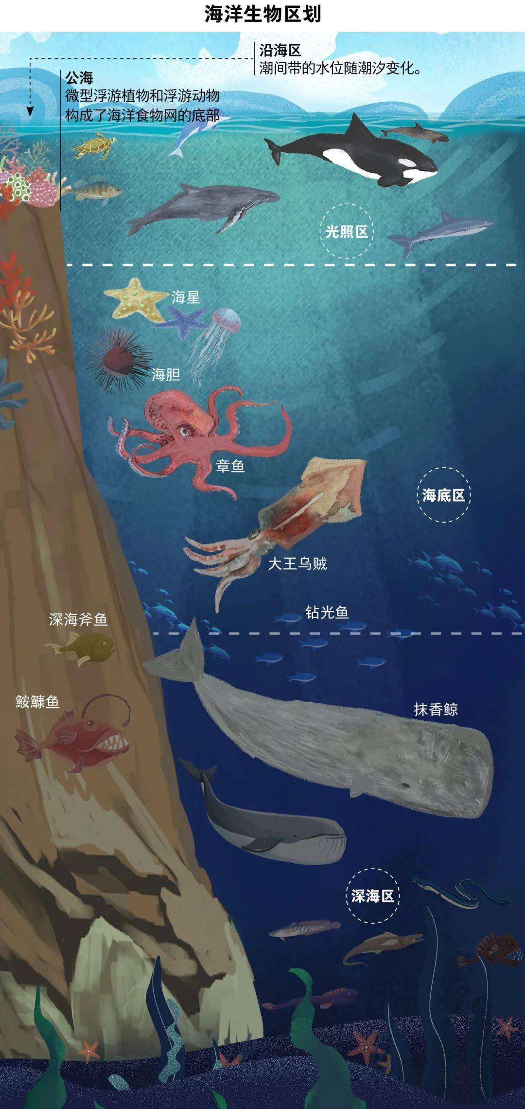 什么是海洋生态系统