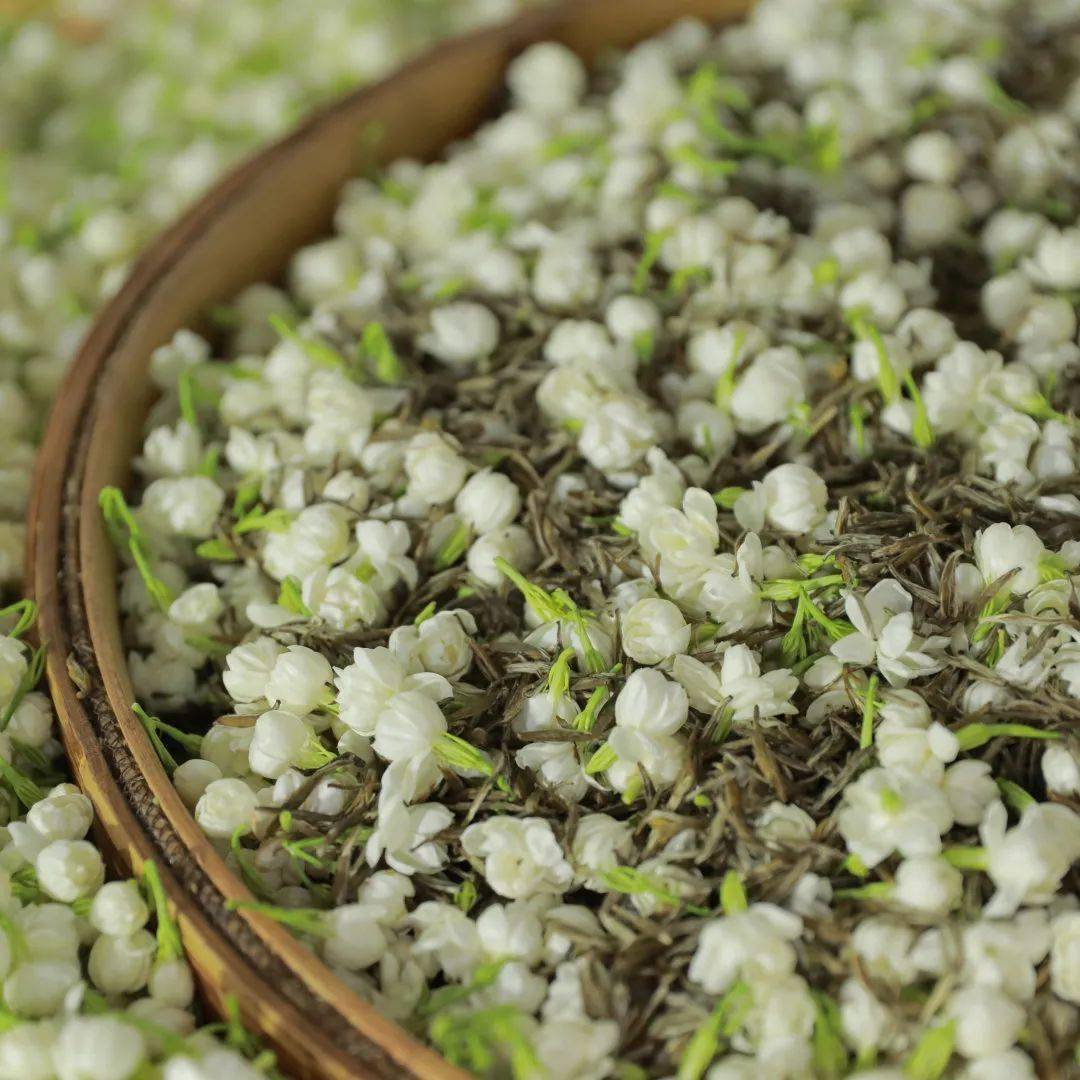 茉莉_花香_口感