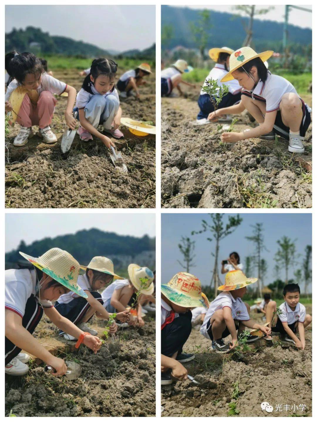 德育启光研学旅行感受田园生活体验劳动乐趣光丰小学二年级研学旅行