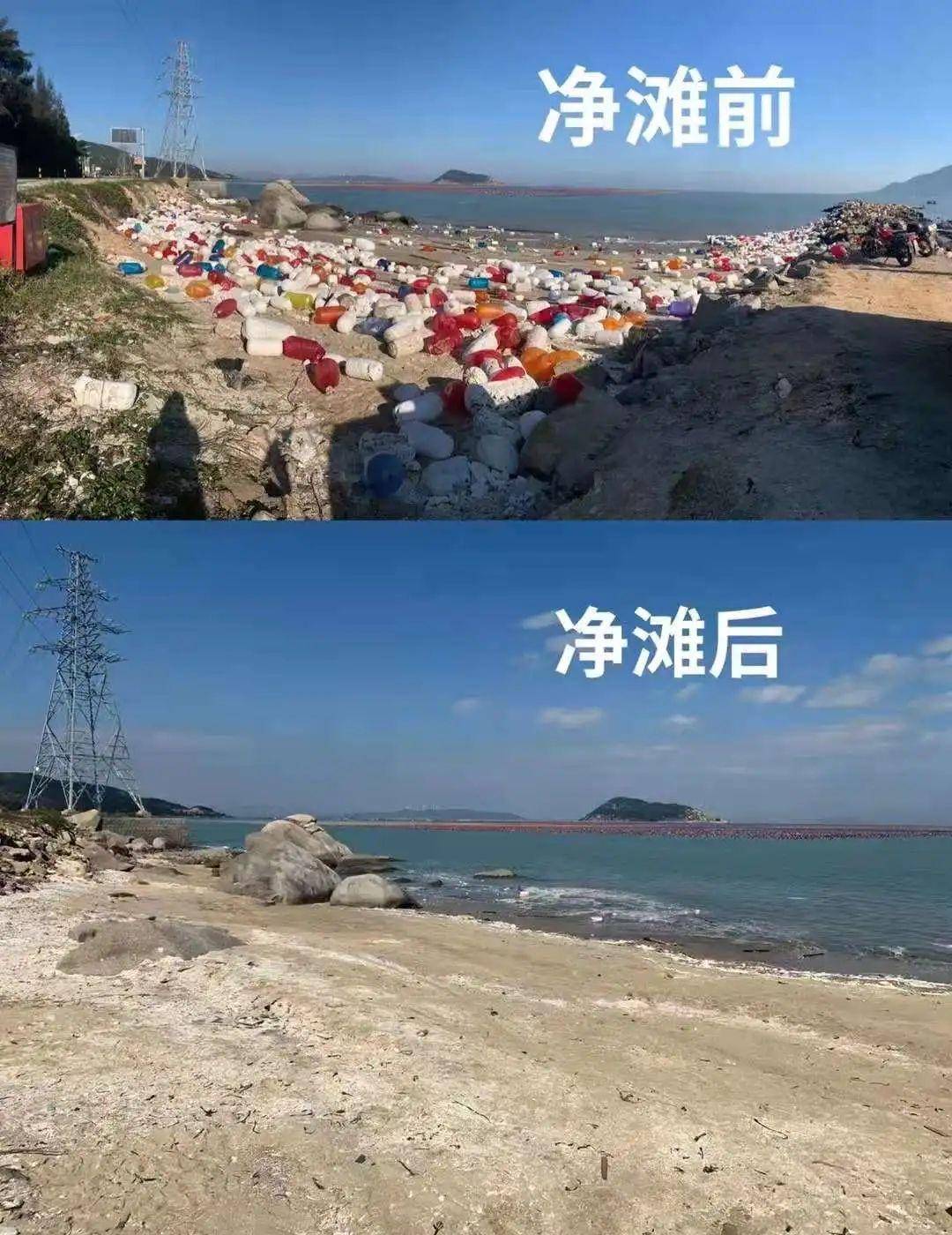 蓝色海湾影评图片