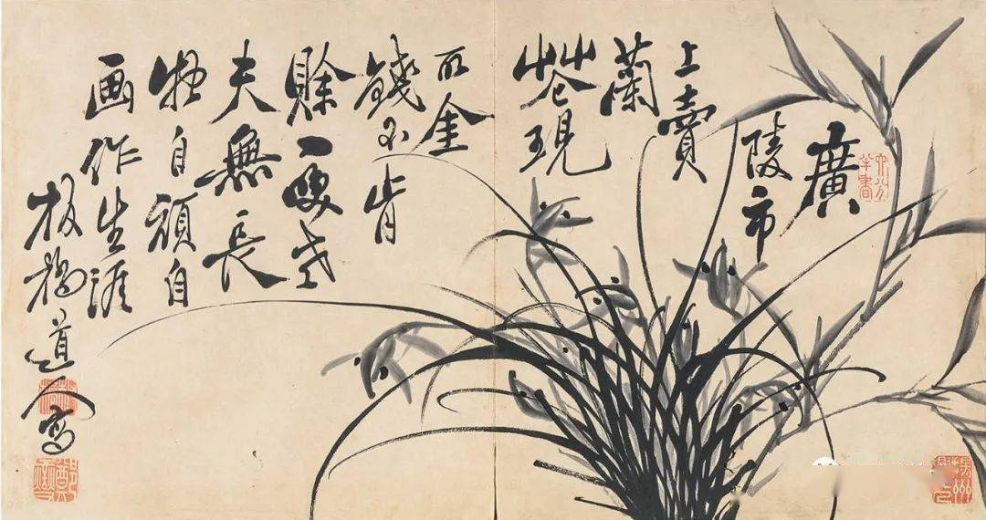 郑燮《兰石图册》欣赏_板桥_兰花之_乾隆