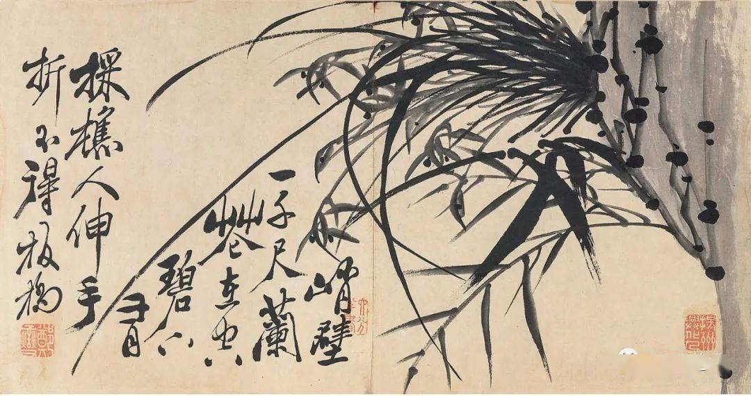 郑燮《兰石图册》欣赏_板桥_兰花之_乾隆