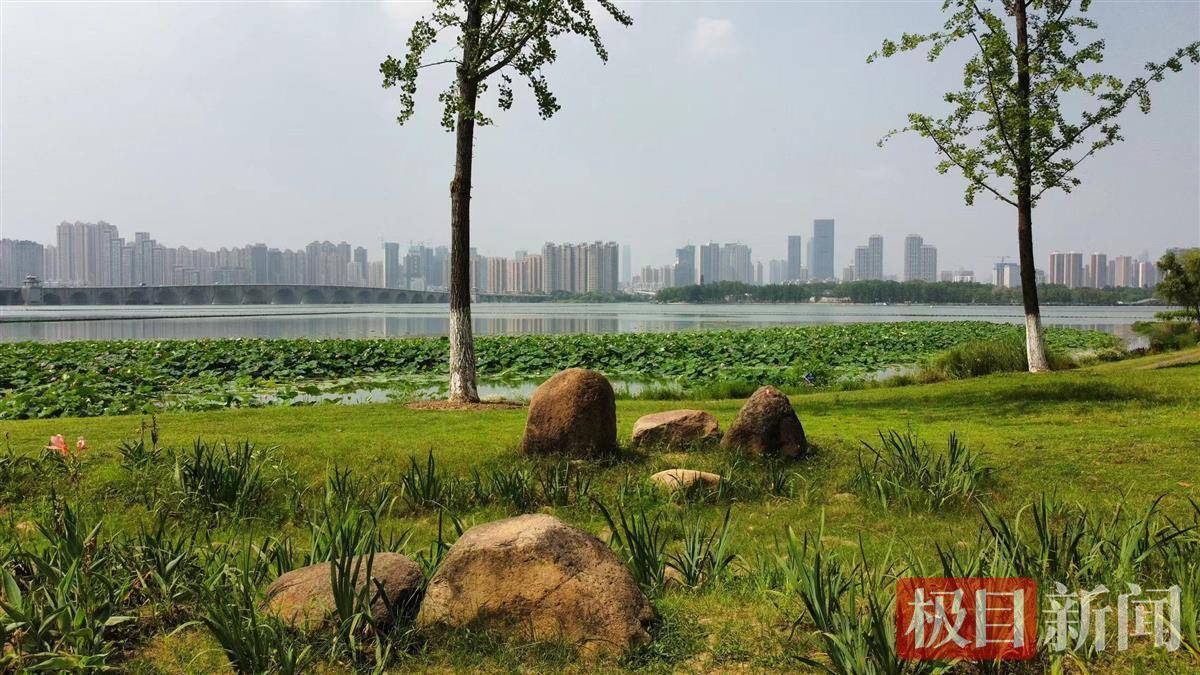 就漢陽區和武漢經開區而言,月湖景區,墨水湖公園,蓮花湖公園,漢水公園