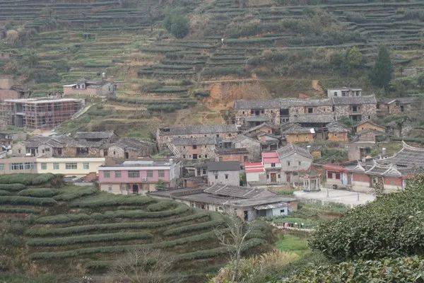 安溪游记攻略之大坪深山里的茶园和老街_大坪乡_厦门_长泰