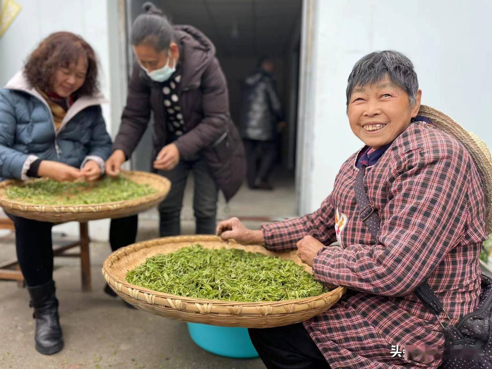 荆门东宝来龙村蛟龙跃沧海舞出千万春