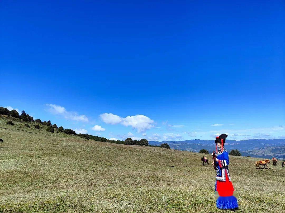 约吗到格萨拉享一夏美景