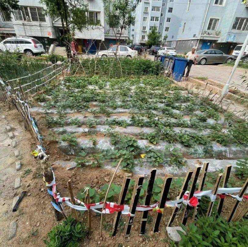 网友爆料：朝阳某小区内，一些岁数大的居民倚老卖老，破环环境，还扬言谁停就划车？_朝阳市_信息_业主