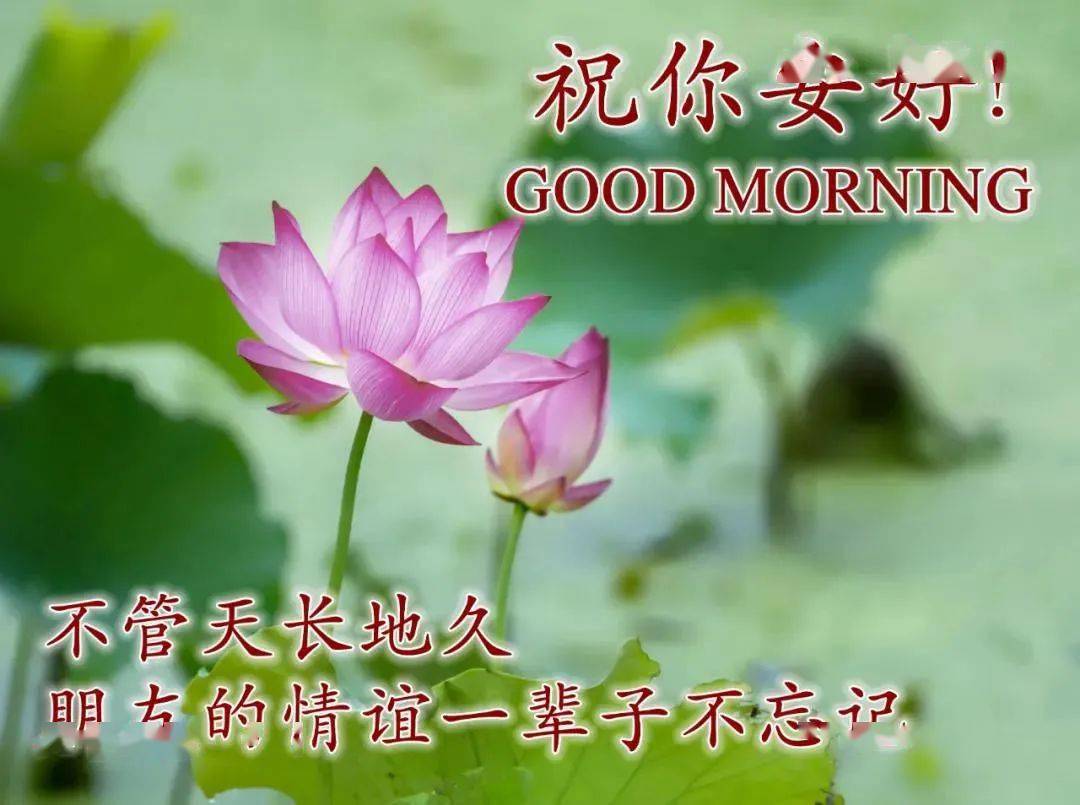 免打字漂亮夏天风景早安问候祝福图片带字温馨图片_朋友_梦想_时间