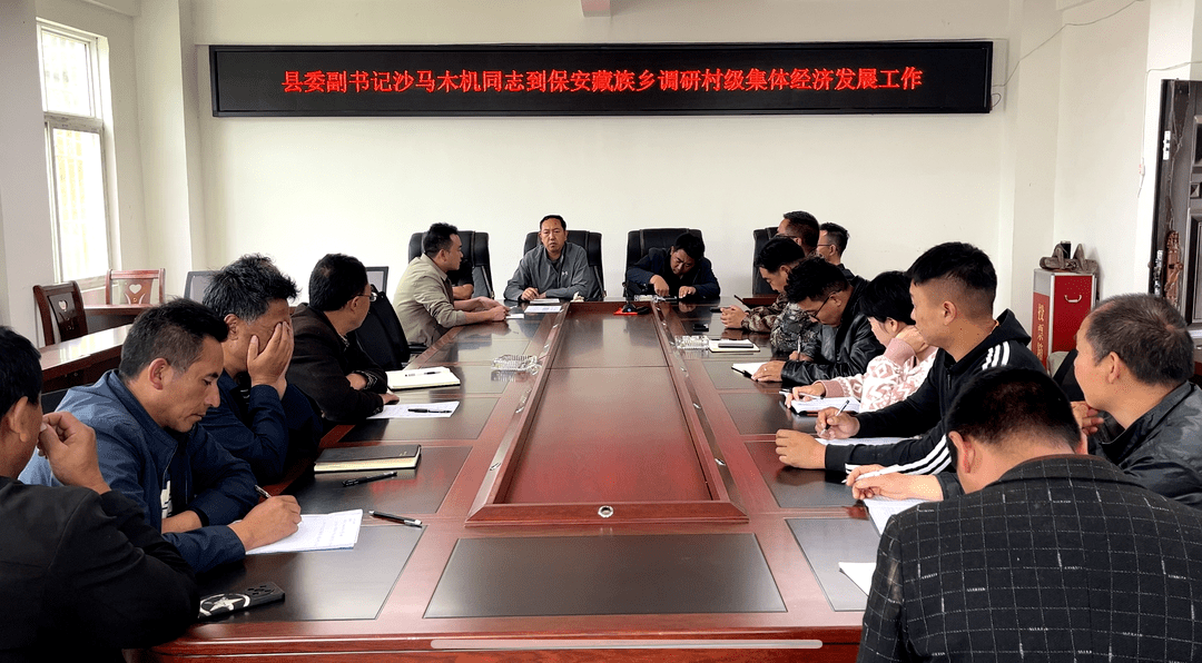 沙马木机到乡镇调研村集体经济发展