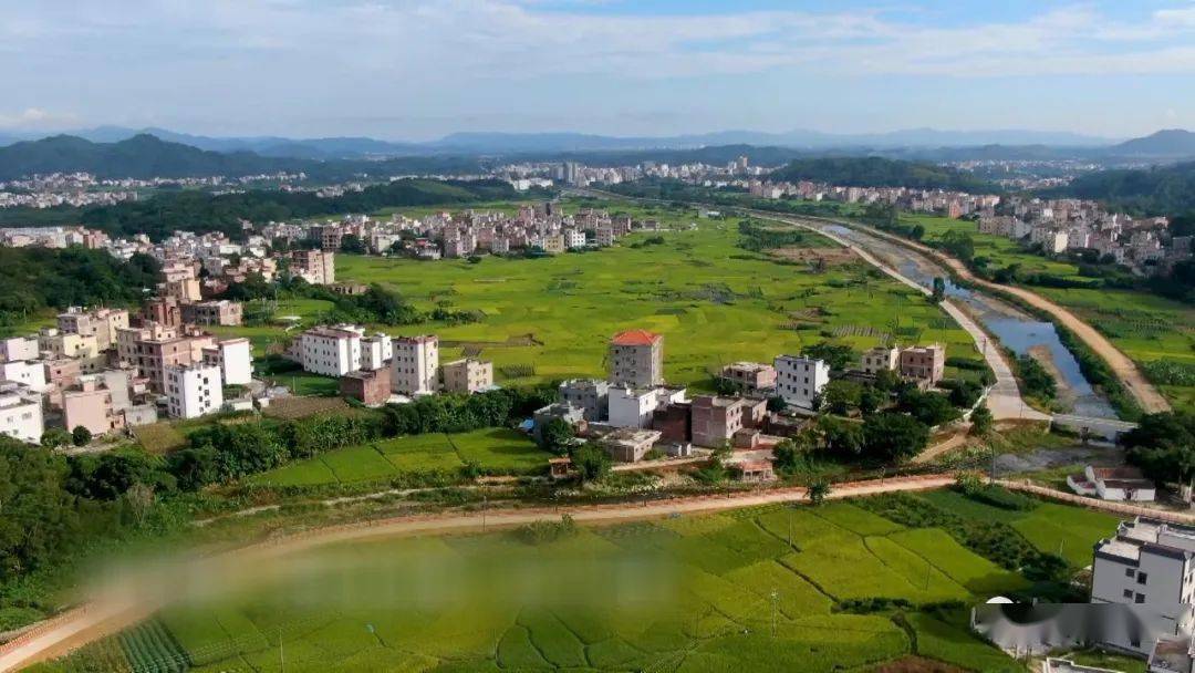 全力以赴打擂台云潭镇新华村加倍努力力争乡村振兴工作再上新台阶