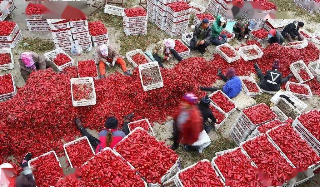 大米加工厂设备布局图_大米工厂的加工设备_大米加工厂设备