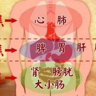 疏通“三焦”,远离大病!_运行_五脏六腑_人体