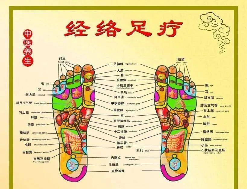 足三阳经